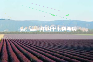 呼和浩特中国十七块金牌