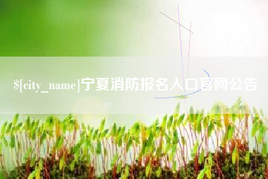 呼和浩特宁夏消防报名入口官网公告