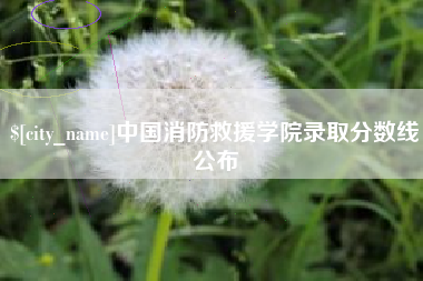 呼和浩特中国消防救援学院录取分数线公布