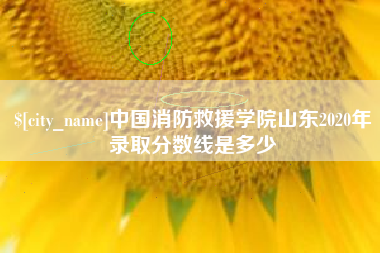 呼和浩特中国消防救援学院山东2020年录取分数线是多少