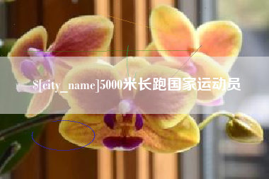 呼和浩特5000米长跑国家运动员