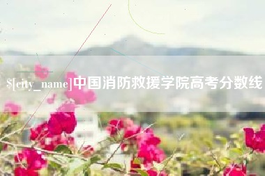呼和浩特中国消防救援学院高考分数线