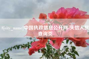 呼和浩特中国执政信息公开网-失信人员查询页