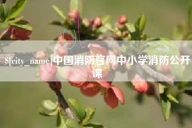 呼和浩特中国消防官网中小学消防公开课