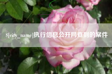 呼和浩特执行信息公开网查到的案件