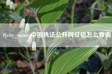 呼和浩特中国执法公开网征信怎么查询