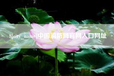 呼和浩特中国消防网官网入口网址