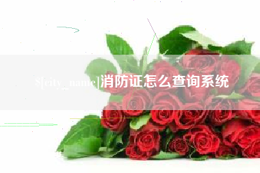 呼和浩特消防证怎么查询系统