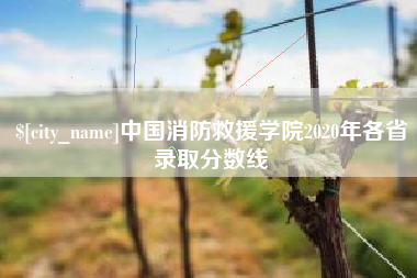 呼和浩特中国消防救援学院2020年各省录取分数线
