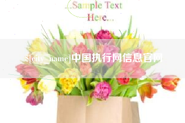 呼和浩特中国执行网信息官网