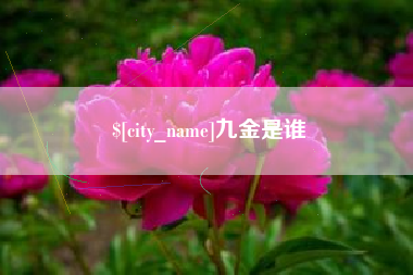 呼和浩特九金是谁