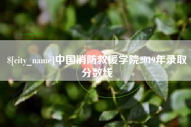 呼和浩特中国消防救援学院2019年录取分数线