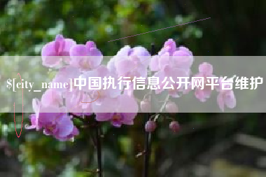 呼和浩特中国执行信息公开网平台维护
