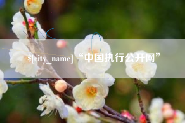 呼和浩特“中国执行公开网”