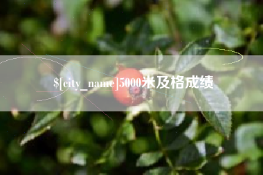 呼和浩特5000米及格成绩
