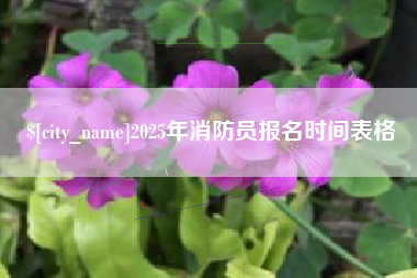 呼和浩特2025年消防员报名时间表格