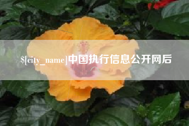 呼和浩特中国执行信息公开网后