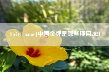 呼和浩特中国金牌是哪些项目2021