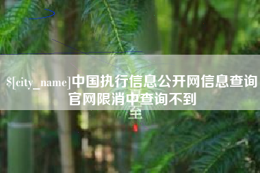 呼和浩特中国执行信息公开网信息查询官网限消中查询不到