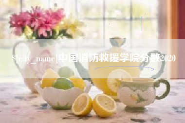 呼和浩特中国消防救援学院分数2020