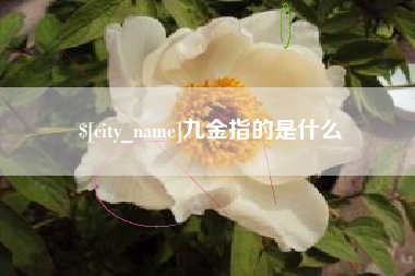 呼和浩特九金指的是什么