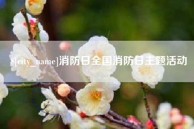 呼和浩特消防日全国消防日主题活动