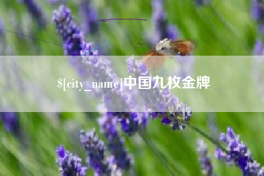 呼和浩特中国九枚金牌
