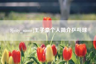 呼和浩特王子豪个人简介乒乓球