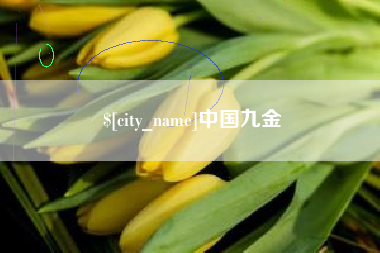呼和浩特中国九金
