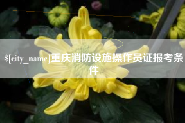 呼和浩特重庆消防设施操作员证报考条件