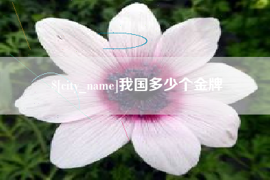 呼和浩特我国多少个金牌