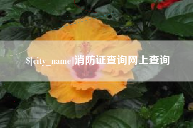 呼和浩特消防证查询网上查询
