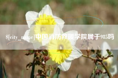 呼和浩特中国消防救援学院属于985吗