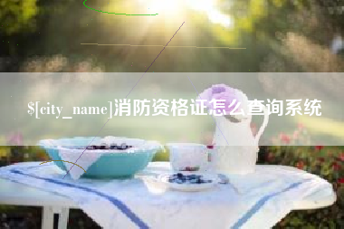 呼和浩特消防资格证怎么查询系统