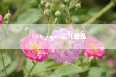 呼和浩特第九金是