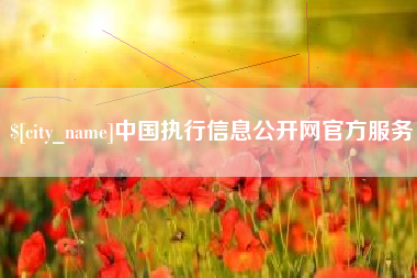 呼和浩特中国执行信息公开网官方服务