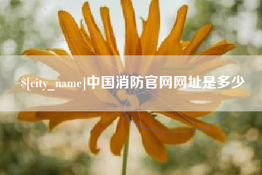 呼和浩特中国消防官网网址是多少