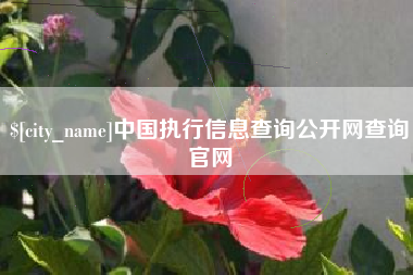呼和浩特中国执行信息查询公开网查询官网