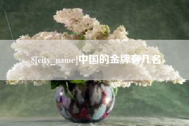 呼和浩特中国的金牌有几名