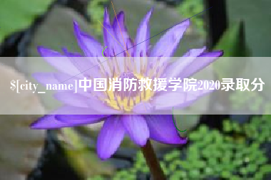 呼和浩特中国消防救援学院2020录取分
