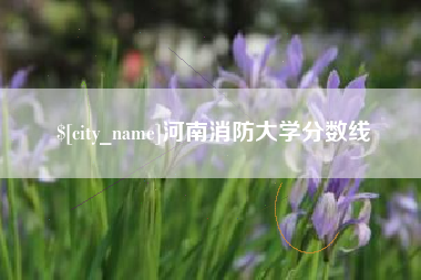 呼和浩特河南消防大学分数线