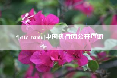 呼和浩特中国执行网公开查询