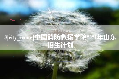 呼和浩特中国消防救援学院2021年山东招生计划