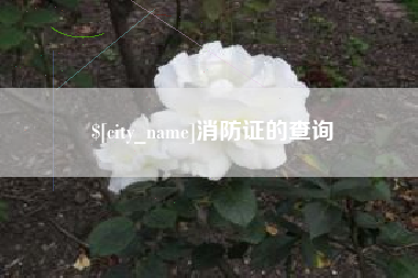 呼和浩特消防证的查询