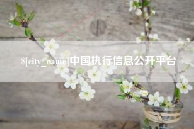 呼和浩特中国执行信息公开平台