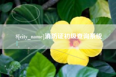 呼和浩特消防证初级查询系统