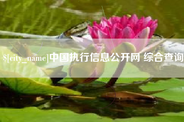 呼和浩特中国执行信息公开网 综合查询