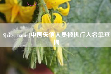 呼和浩特中国失信人员被执行人名单查询