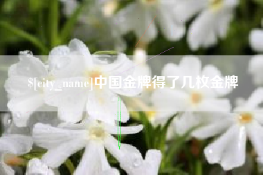 呼和浩特中国金牌得了几枚金牌