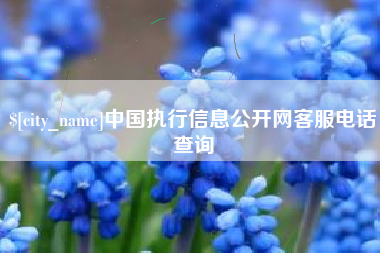 呼和浩特中国执行信息公开网客服电话查询